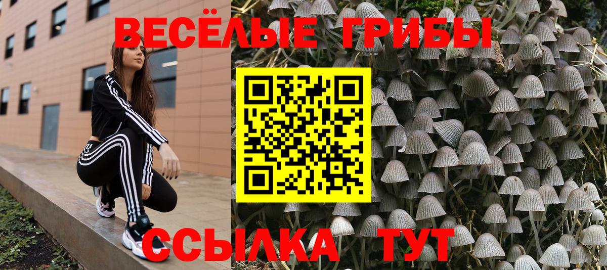 Галлюциногенные грибы Psilocybine cubensis  Вход с VPN  Нягань 