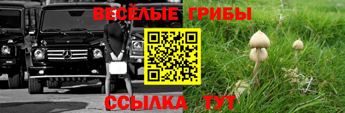 Псилоцибиновые грибы мицелий Нягань